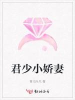 君少小娇妻