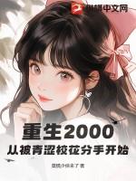 重生2000：从被青涩校花分手开始