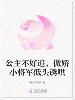 公主不好追，傲娇小将军低头诱哄