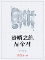 赘婿之绝品帝君