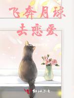 飞奔月球去恋爱