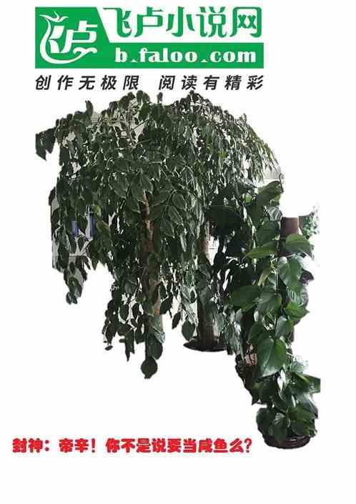 封神：帝辛，你不是要当咸鱼么？