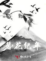 簪花纪年
