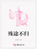 殊途不归