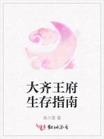大齐王府生存指南