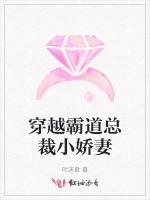 穿越霸道总裁小娇妻