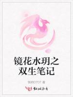 镜花水玥之双生笔记