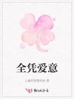 全凭爱意