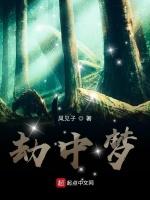 劫中梦