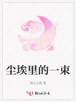 尘埃里的一束