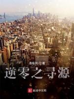 逆零之寻源