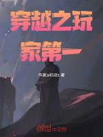 穿越之玩家第一
