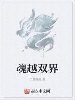 魂越双界