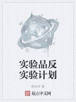 实验品反实验计划