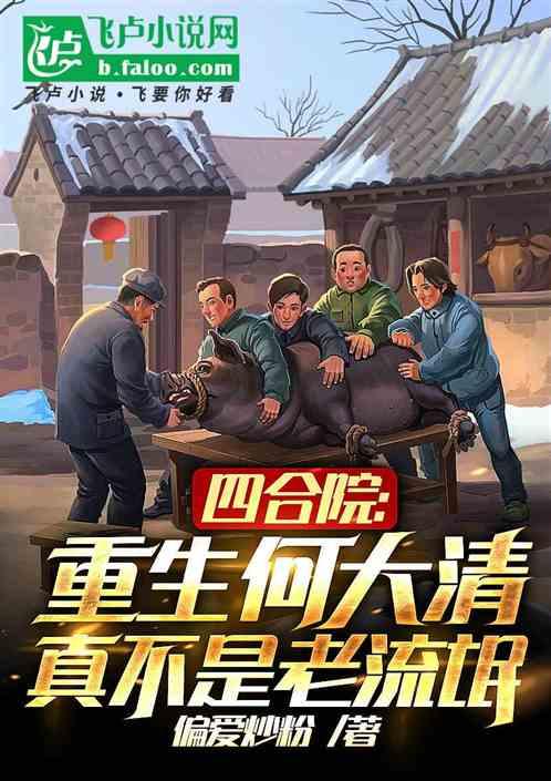 四合院:重生何大清不是老流氓