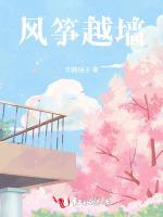 风筝越墙