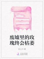 废墟里的玫瑰终会枯萎