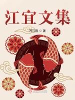 江宜文集