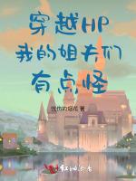 穿越HP我的姐夫们有点怪