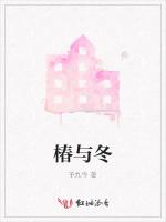 椿与冬