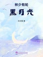 林少有轮黑月光