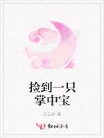 捡到一只掌中宝