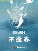 偏他来时不逢春