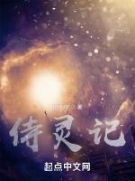 侍灵记