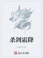 杀剑霜降