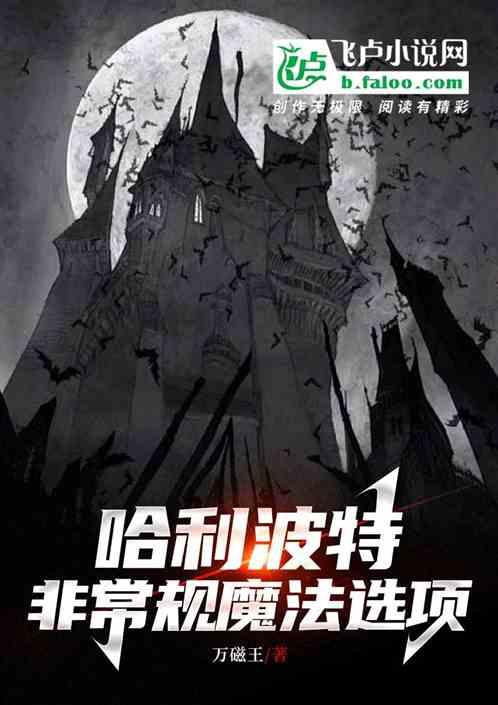 哈利波特之非常规魔法选项