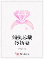 偏执总裁冷娇妻