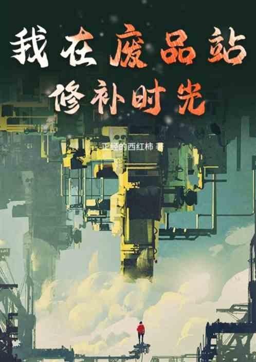我在废品站修补时光