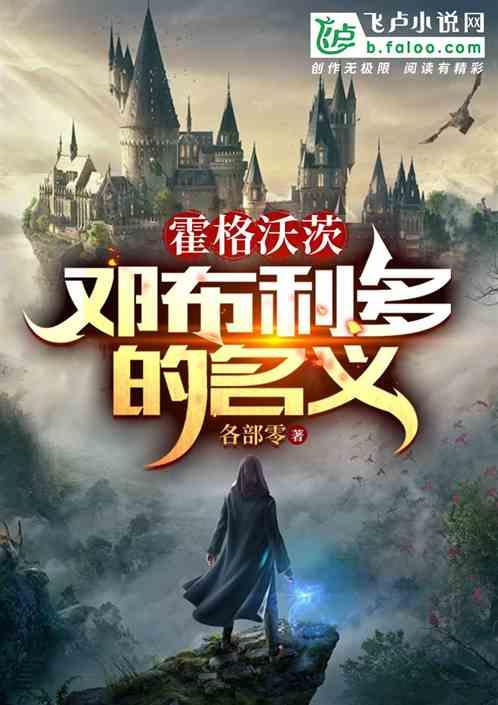 霍格沃茨：邓布利多的名义