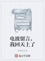 电波留言，我回天上了