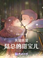 先婚后爱，陆总的甜宝儿