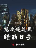 想要越过黑暗的日子