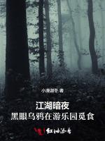 江湖暗夜：黑眼乌鸦在游乐园觅食