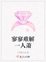 寥寥难解一人萧