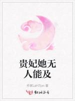 贵妃她无人能及