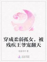 穿成柔弱孤女，被残疾王爷宠翻天