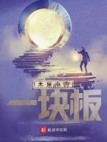 木屋中的一块板