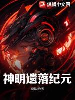 神明遗落纪元