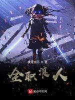 全职浪人
