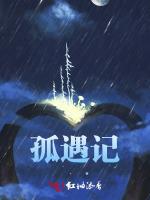 孤遇记