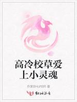 高冷校草爱上小灵魂