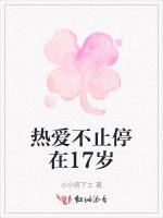 热爱不止停在17岁