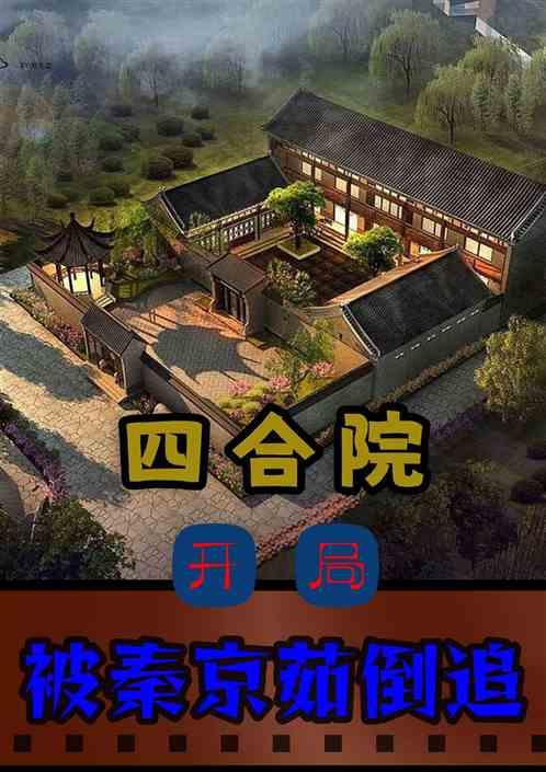 四合院：开局被秦京茹倒追