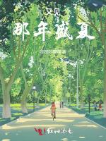 又见，那年盛夏