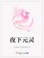 夜下元灵