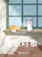 理想对象